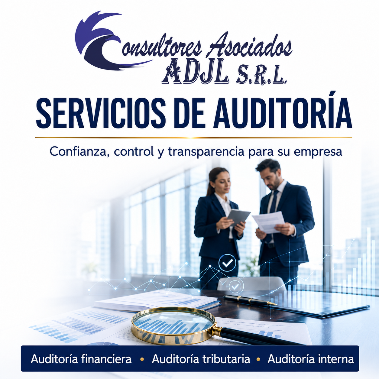 Servicio de Auditoria